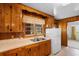 Cozy kitchen with wood paneling, stainless steel sink, and a view to the adjacent room at 2192 Highway 308, Galivants Ferry, SC 29544