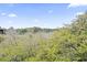 Expansive view showcasing the community's lush greenery, trees, and landscaping under a bright blue sky at 9501 Shore Dr. # B-316, Myrtle Beach, SC 29572