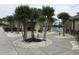 Beautifully landscaped common area with walking paths, seating, and access to community amenities at 9739 Leyland Dr. # 12, Myrtle Beach, SC 29572