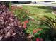 Close-up of the landscaped yard featuring blooming red roses and decorative purple foliage at 1440 Brighton Ave., Myrtle Beach, SC 29588