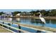 Scenic waterfront view featuring a Great Egret perched on a wooden railing, with buildings in the background at 512 Haven View Way, Murrells Inlet, SC 29576