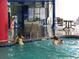 play in this indoor pool with a basketball hoop, creating a fun and active recreational space at 5300 N Ocean Blvd. # 310, Myrtle Beach, SC 29577