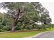 Majestic old oak tree covered in Spanish moss standing tall on a manicured grassy lawn at 130 Scotch Broom Dr. # H-103, Little River, SC 29566