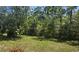Lush backyard with mature trees at 1769 Crooked Pine Rd., Surfside Beach, SC 29575