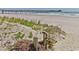 Wide sandy beach with vegetation, the ocean and a fishing pier far in the distance at 404 75Th Ave N # G, Myrtle Beach, SC 29572