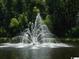 Water fountain on a pond surrounded by vibrant greenery offers scenic beauty and tranquility at 1000 Ray Costin Way # 114, Murrells Inlet, SC 29576
