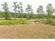 Expansive backyard with lush greenery and scenic marsh views offers a tranquil setting at 2212 Dykman Circle, Little River, SC 29566