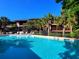 Community pool with lounge chairs, palm trees, and Heron Pointe condos in the background at 223 Maison Dr. # D-16, Myrtle Beach, SC 29572