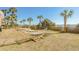 Tranquil outdoor area with hammocks under palm trees at 6900 N Ocean Blvd. # 208, Myrtle Beach, SC 29572