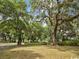 Lush green space featuring mature oak trees, providing a tranquil and picturesque setting at 14290 Ocean Hwy. # 210, Pawleys Island, SC 29585