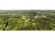 Aerial view of the property surrounded by lush greenery, showcasing its serene and private location at 153 Busbee St., Conway, SC 29526
