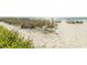 Sandy beach with ocean view and sea grass at 2406 N Ocean Blvd. # 803, Myrtle Beach, SC 29577