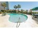 Community pool surrounded by lush landscaping and palm trees at 2406 N Ocean Blvd. # 803, Myrtle Beach, SC 29577