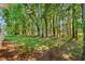 Expansive backyard featuring a lush green lawn and mature trees providing shade and privacy at 3157 Hermitage Dr., Little River, SC 29566