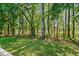 Expansive green backyard surrounded by tall trees, offering a private and serene outdoor space at 3157 Hermitage Dr., Little River, SC 29566