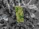 Aerial view showcasing the surrounding lush landscape and mature trees of the property at 5 Old Barge Dr., Pawleys Island, SC 29585