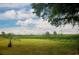 Large, green backyard featuring palm trees and overlooking a marsh area under a cloudy sky at 640 Willowbank Rd., Georgetown, SC 29440