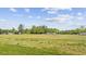Sprawling backyard with a lush green lawn, bordered by trees, with a house in the distance at 7019 Norton Rd., Green Sea, SC 29545