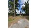 Charming single-story home with mature trees in landscaped front yard at 972 Mount Carmel Rd., Hemingway, SC 29554