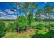 Well-manicured backyard with a view of a golf course and vibrant landscaping at 116 Cypress Point Ct. # 302, Myrtle Beach, SC 29579