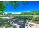 Scenic view of the well-maintained golf course with lush green grass, trees, and a walking path at 116 Cypress Point Ct. # 302, Myrtle Beach, SC 29579