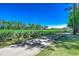 Expansive green golf course features a smooth walking path and a picturesque landscape of trees at 116 Cypress Point Ct. # 302, Myrtle Beach, SC 29579