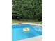 Sparkling pool featuring a stone waterfall feature and floaty in a lush backyard setting at 140 Zinnia Dr., Myrtle Beach, SC 29579