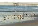 Scenic beach view featuring seagulls, a great egret, and a pier in the background at 1501 S Ocean Blvd. # 1009, Myrtle Beach, SC 29577