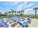 Beach access showcasing numerous lounge chairs and palm trees leading to a beautiful beach at 1501 S Ocean Blvd. # 1107, Myrtle Beach, SC 29577