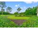 Scenic view of golf course with lush green grass and mature trees at 1617 Tradition Club Dr., Pawleys Island, SC 29585