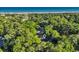 Aerial view of a property surrounded by lush trees, with a glimpse of the nearby ocean at 217 Myrtle Ln., Myrtle Beach, SC 29572