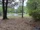 Scenic view of a tranquil pond near a property, surrounded by trees at 4535 Carriage Run Circle, Murrells Inlet, SC 29576