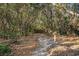 Scenic wooded path covered in leaves, inviting for a nature walk or hike in a tranquil setting at 617 Hibiscus Ave. # 617, Myrtle Beach, SC 29577
