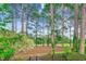 View of the golf course and trees through the backyard of the home at 8209 Timber Ridge Rd., Conway, SC 29526