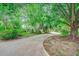 Curvy driveway with trees surrounding a house at 8209 Timber Ridge Rd., Conway, SC 29526