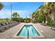 Relaxing hot tub surrounded by lounge chairs, palm trees, and lush landscaping at 603 S Ocean Blvd. # 912, North Myrtle Beach, SC 29582