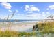 Beautiful beach view framed by dune grasses under a sunny sky at 25 Northwoods Ct., Pawleys Island, SC 29585