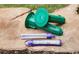 Innovative lawn treatment system designed to protect your yard and home from pests, ensuring a healthy outdoor environment at 4762 Huckleberry Ln., Conway, SC 29526