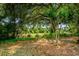 Scenic view of a golf course from a wooded area, showcasing lush greenery and open fairway at 5801 Oyster Catcher Dr. # 1214, North Myrtle Beach, SC 29582