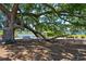 Enjoy lakeside relaxation under the shade of a large tree with benches, offering serene views at 757 Cherry Blossom Dr., Murrells Inlet, SC 29576