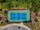 Aerial view of a community pickleball court with manicured landscaping and surrounding trees at 2464 Rock Dove Rd., Myrtle Beach, SC 29577