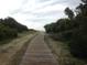 Picturesque boardwalk leading to the beach, surrounded by lush greenery at 307 Black Oak Ln. # 102, Murrells Inlet, SC 29576