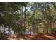 Scenic backyard with mature trees and pond, offering a peaceful retreat at 6253 Catalina Dr. # 1533, North Myrtle Beach, SC 29582