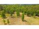 Picturesque wooded acreage featuring a blend of mature trees and well-maintained grassy spaces at 151 Saddle Dr., Loris, SC 29569