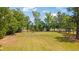 Open grassy land bordered by mature trees, providing a serene and private setting at 151 Saddle Dr., Loris, SC 29569