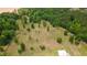 Expansive wooded property featuring mature trees and open grassy areas, perfect for recreation at 151 Saddle Dr., Loris, SC 29569