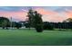 Pasture view at sunset with horses grazing on lush green grass at 151 Saddle Dr., Loris, SC 29569