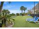 Relax on the lawn in lounge chairs at this tropical hotel near the beach and other resort amenities at 201 N Ocean Blvd. # 2536, Myrtle Beach, SC 29572