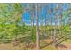 A peaceful backyard with tall trees providing shade on a sunny day at 2312 Sweetwater Blvd. # 2312, Murrells Inlet, SC 29576