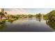 Scenic view of a tranquil pond with black swans in a residential area, creating a serene atmosphere at 234 Westleton Dr. # 21-C, Myrtle Beach, SC 29572